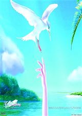 ����,�Ҿ�Ҫ�ӿ���