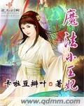 魔法小王妃