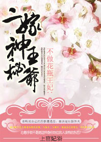 不做花瓶王妃:二嫁神秘王爷