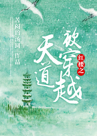 红楼之天道被穿越txt下载