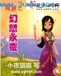 网游之幻想永夜