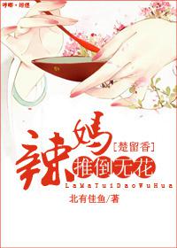 辣妈推倒无花txt下载