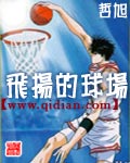 飞扬的球场txt下载