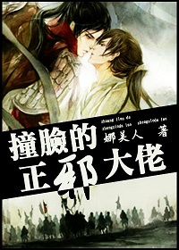 撞脸的正邪大佬txt下载