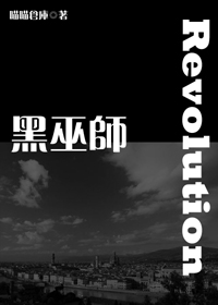 黑巫师:圣域txt下载