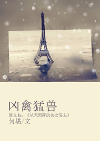 凶禽猛兽txt下载