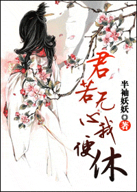 君若无心我便休