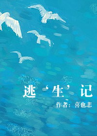 �ӡ�������