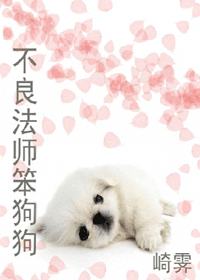 ������ʦ������