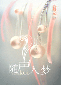 随声入梦txt下载