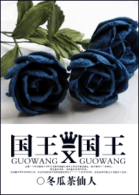 国王x国王