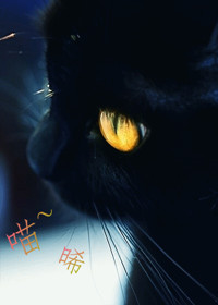 柜子里的吸血鬼