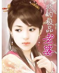 我的极品老婆