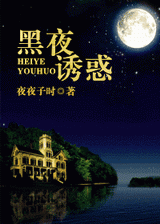 重生之黑夜诱惑