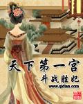 天下第一宫txt下载