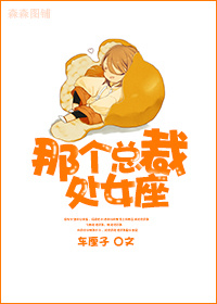 那个总裁,处女座