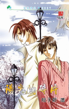 阳光的碎片txt下载