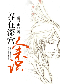 养在深宫人未识txt下载