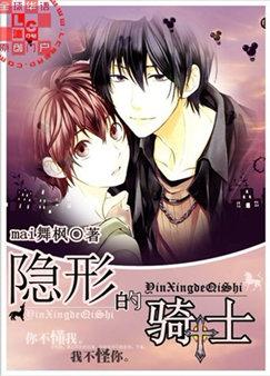 隐形的骑士txt下载