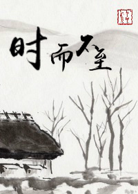 时而不至txt下载