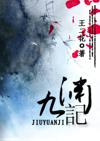 九渊记