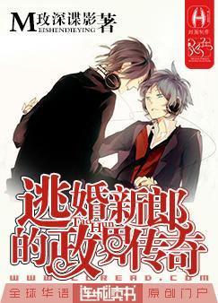 逃婚新郎的政界传奇txt下载