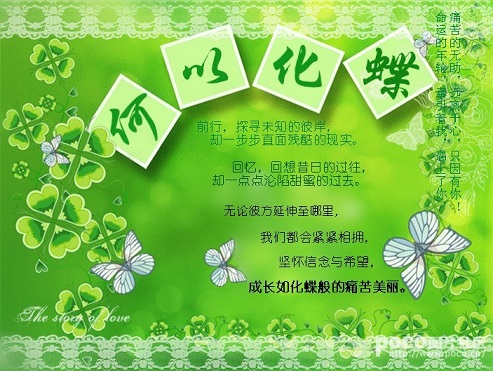 何以化蝶txt下载