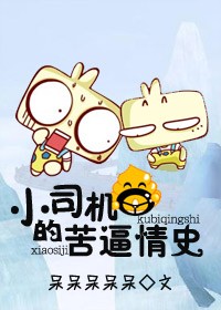 小司机的苦逼情史txt下载