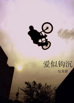 爱似钩沉txt下载