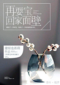 再耍宝回家面壁txt下载