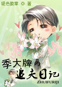 季大牌的追夫日记