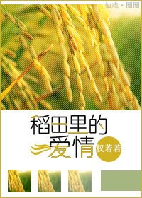 稻田里的爱情