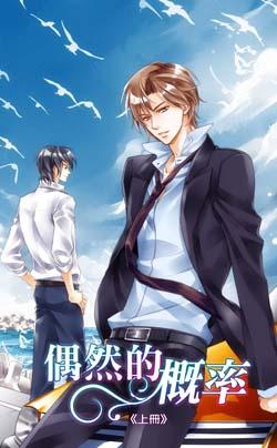 偶然的概率