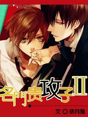 名门贵攻子ⅱ