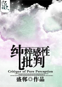 纯粹感性批判txt下载