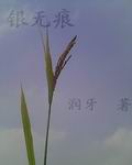 银无痕txt下载