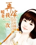 暖妻,再嫁我一次
