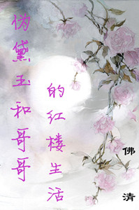 伪黛玉和哥哥的红楼生活