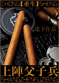 重生之上阵父子兵