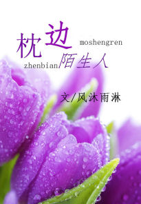 枕边陌生人txt下载