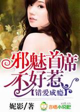 错爱成瘾,邪魅首席不好惹