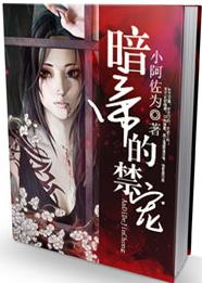 暗帝的禁宠