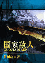 国家敌人