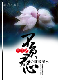 重生之不负君心