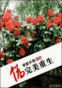 伪完美重生