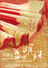 红楼之盛世明珠