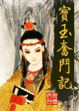 宝玉奋斗记txt下载