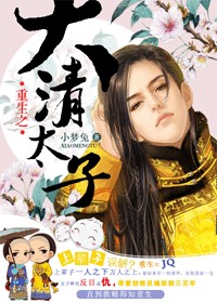 重生大清太子(系统)
