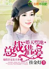 婚天嘿地,总裁猎爱