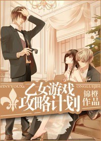 乙女游戏攻略计划